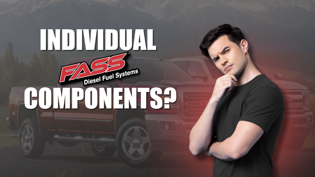 FASS Fuel Pump Spring